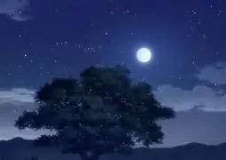 今晚突围战来临，那不勒斯围绕荷甲官宣签约，话题不断，纪律约束更严格(那不勒斯中场巴萨)-开云棋牌